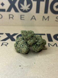 Tropical Mango